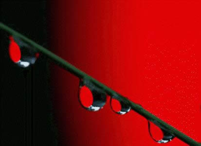 ����ÄӑB�����