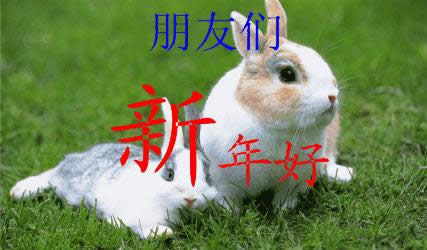 ����ÄӑB�����