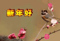 ����ÄӑB�����