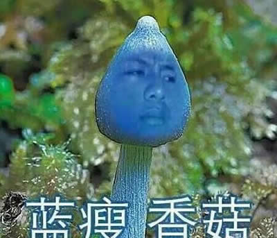 {(ln)㹽ʲô{(ln)㹽ҕl̎_΢