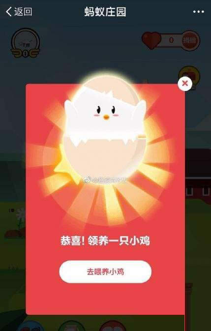 螞蟻莊園 螞蟻莊園
