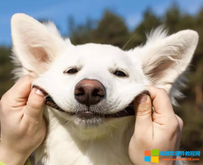 Xӡʲô(hu)F(xin)yaʲôԭ