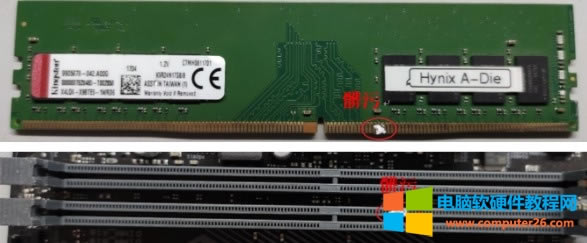 XoPower LEDWqQ3