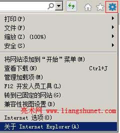 ie10ie11 P Internet Explorer
