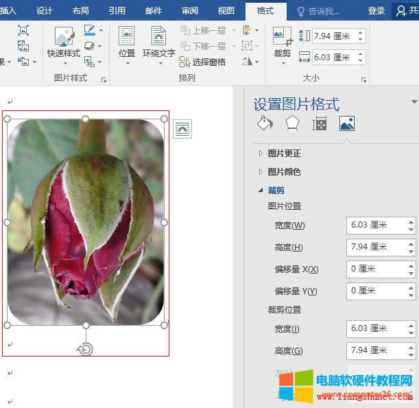 Word 2016 DƬD(zhun) 180 Ȳü