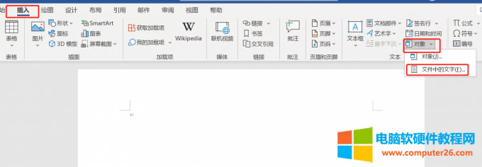 文件中的文字