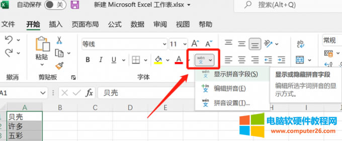 顯示拼音