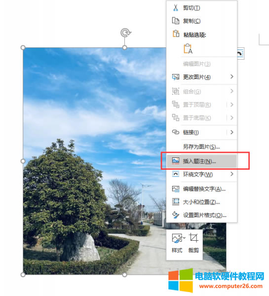 插入題注
