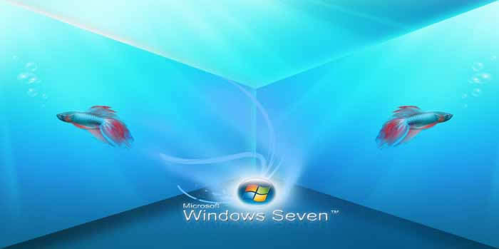 win764λϵy耵Ԕʹk