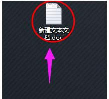 文件 文件
