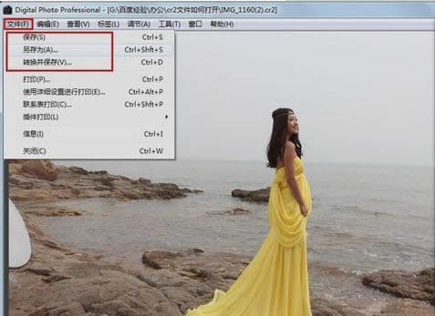 打開cr2文件 打開cr2文件