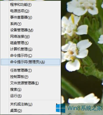 Win8.1ϵyc_ʼo]зôk