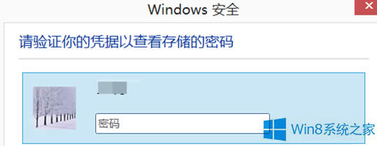Win8{(j)鿴W(wng)~̖ܴaļ