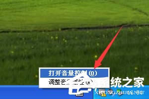 XPϵyʹC