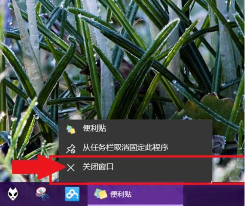 Win10㺞NNδ_ʹ÷B